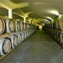 Bodegas Bianchi