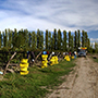 Bodegas Bianchi