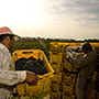 Bodegas Bianchi