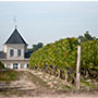 Chateau Brane Cantenac