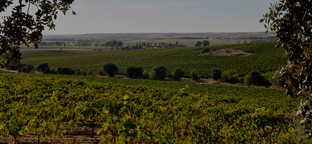 Dehesa la Granja