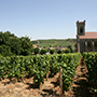 Louis Jadot