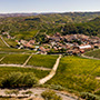Marchesi di Barolo