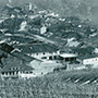 Marchesi di Barolo