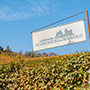Marchesi di Barolo