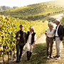 Marchesi di Barolo
