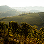 Marchesi di Barolo