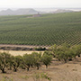Palacios Remondo