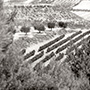 Palacios Remondo
