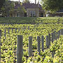 Penfolds