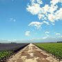 Bodega Rutini Wines