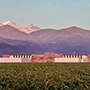 Bodega Rutini Wines