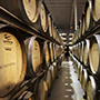 Bodega Rutini Wines