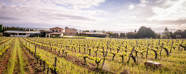Finca Torremilanos